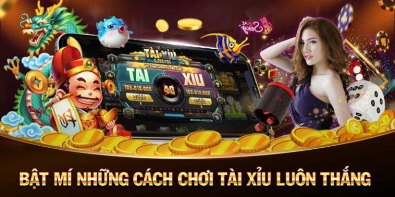 Chia sẻ bí quyết cách chơi tài xỉu luôn thắng từ các chuyên gia hàng đầu