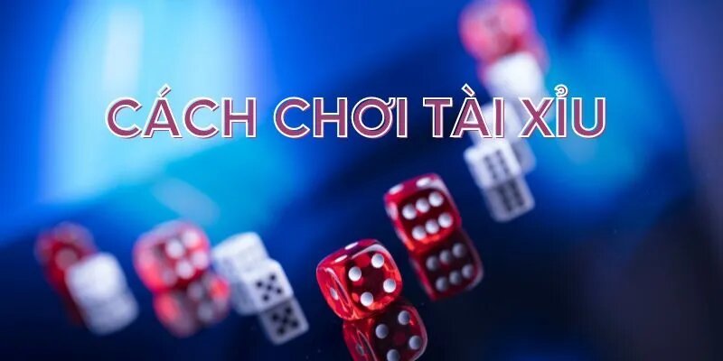 Hướng dẫn cách chơi tài xỉu cho người mới chơi